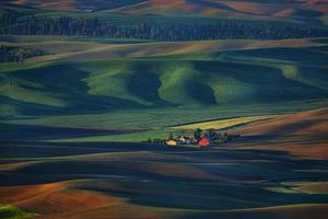 palouse washington da steptoe butte foto