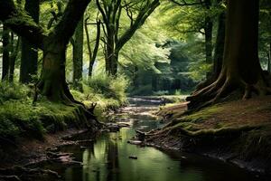 ai generato bellissimo paesaggio Immagine di un' foresta fiume fluente attraverso il boschi, ai generato foto