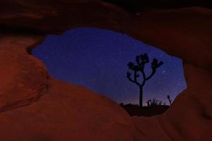 Tracce stellari a lunga esposizione nel parco nazionale di Joshua Tree foto