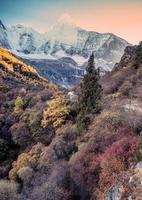 foresta autunnale colorata con montagna sacra a yading foto