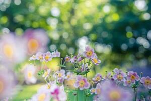primavera foresta paesaggio viola fiori primule su un' bellissimo sfocato sfondo macro. floreale natura sfondo, estate primavera sfondo. tranquillo natura avvicinamento, romantico amore fiori foto