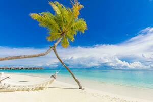 migliore popolare paesaggio. la libertà romantico e idilliaco coppia e luna di miele concetto design. estate vacanza e vacanza sfondo. tropicale spiaggia, rilassante paesaggio, tranquillo natura isola costa foto