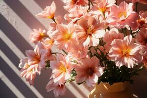 ai generato fiori nel il dolce mattina incandescenza, primavera sessione fotografie