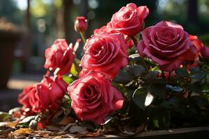 ai generato il calmante bellezza di un' giardino pieno con rosso Rose, san valentino, incontri e amore proposta Immagine foto