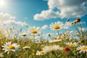 ai generato un' Bellissima, assolato primavera estate prato. foto