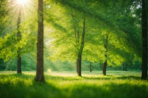 ai generato sfocato verde alberi nel foresta o parco con selvaggio erba e sole travi. bellissimo estate primavera naturale sfondo foto