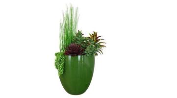 piante in vaso di ceramica verde foto