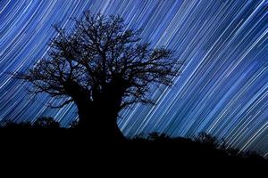 tracce stellari via lattea in sudafrica cielo notturno foto
