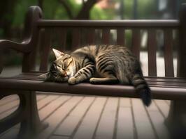ai generato poco carino gatto addormentato su un' panchina nel il giardino di città parco. foto