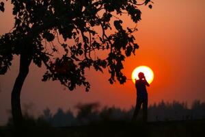 silhouette albero accanto persone con tramonto sotto colorato di cielo foto