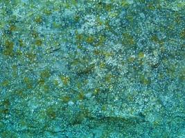 texture pietra verde acqua