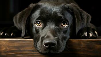 ai generato carino cucciolo seduta, guardare a telecamera, nero labrador, in casa generato di ai foto