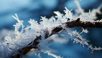 ai generato inverno bellezza nel natura brina coperto ramo, fiocco di neve su ghiaccio generato di ai foto