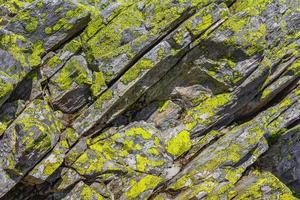 struttura della roccia di pietra con muschio giallo verde e licheni norvegia foto