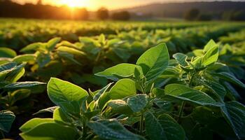 ai generato fresco verde le foglie crescere nel natura vivace paesaggio generato di ai foto