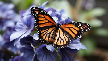 ai generato vivace farfalla impollina fiore, in mostra naturale bellezza generato di ai foto