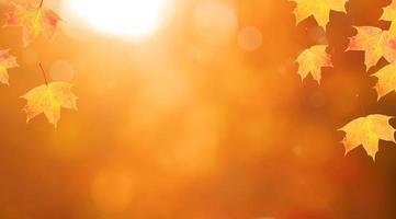 foglie di acero rosso-arancio cornice di sfondo natura autunnale con bokeh nella foresta foto