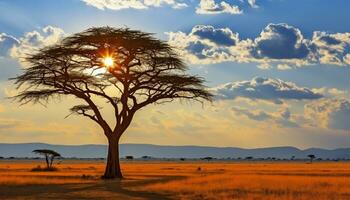 ai generato silhouette di acacia albero nel africano tramonto generato di ai foto