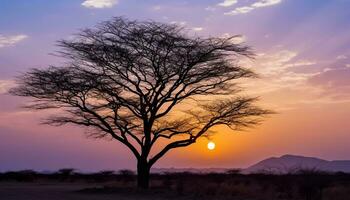 ai generato silhouette di acacia albero contro arancia tramonto cielo generato di ai foto