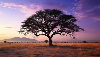 ai generato silhouette di acacia albero nel africano tramonto generato di ai foto