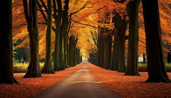 ai generato tranquillo autunno foresta, vivace colori, di fuga tramonto generato di ai foto