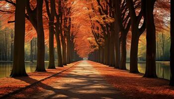 ai generato tranquillo autunno foresta, vivace colori, tranquillo, calmo natura generato di ai foto