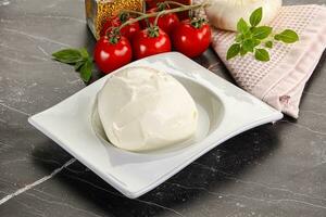 italiano formaggio Mozzarella bufalo palla foto