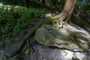 letchworth stato parco inferiore cascate foto