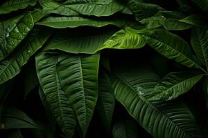 ai generato verde le foglie trasportare ispirando citazioni sollecitando positivo ambientale Azioni, natura conservazione fotografie