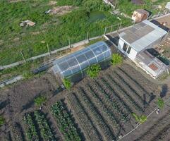 superiore Visualizza di il giardino con un' serra fatto di policarbonato foto