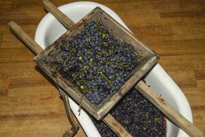Manuale meccanismo per schiacciante uva. schiacciare il uva in succo foto