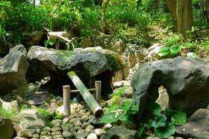 un' giapponese bambù acqua Fontana shishi-odoshi nel zen giardino foto