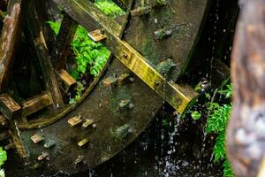 un' storico di legno ruota su il acqua superficie nel tokyo vicino su foto