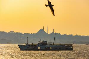 Istanbul sfondo foto. traghetto e gabbiano con suleymaniye moschea foto