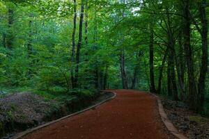 escursioni a piedi o jogging pista sfondo foto. salutare stile di vita concetto foto