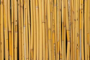 bambù modello. verticale bambù recinto sfondo foto