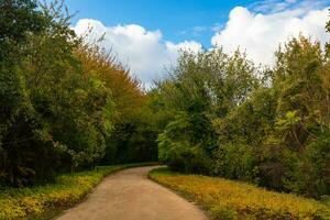 jogging pista nel il foresta. haciosman o ataturk città foresta nel Istanbul foto