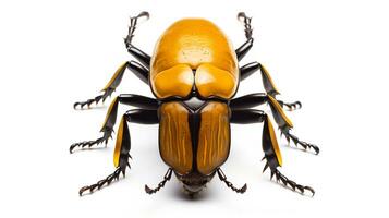 ai generato foto di Ercole scarafaggio isolato su bianca sfondo. generativo ai