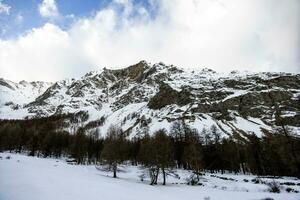 montagna paesaggio con abete alberi aosta valle Italia foto