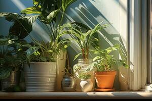 ai generato verde Casa impianti nel Marrone argilla pentole su un vecchio di legno sfondo. ficus, Monstera e succulento. foto