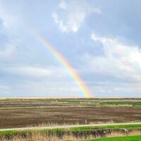 arcobaleno, un' Visualizza di il paesaggio nel il campo. formazione di il foto