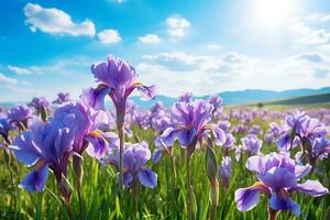 ai generato viola iris campo con montagna fondale foto