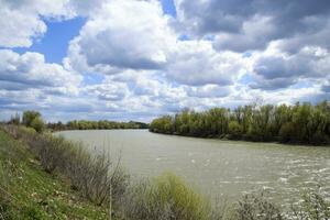 primavera paesaggio su il fiume. spargimento il fiume. fioritura mini cuffie nel il alberi. foto