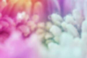 colorato sfocatura sfondo con fiore petalo tema foto