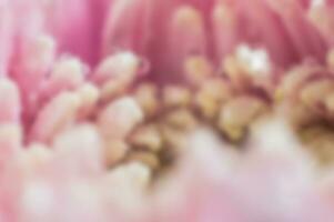 colorato sfocatura sfondo con fiore petalo tema foto