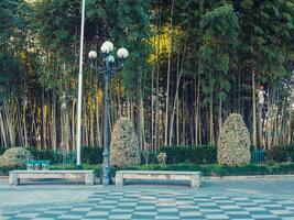 vicolo nel il parco . batumi. Georgia foto