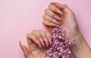 femmina mani con rosa chiodo design hold gypsophila fiori. foto