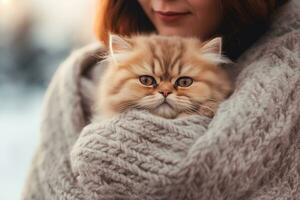 ai generato donna detiene e abbracci popolare persiano giocoso gattino gatto razza foto