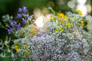 bellissimo mazzo di fiori selvatici nel il estate giardino. foto