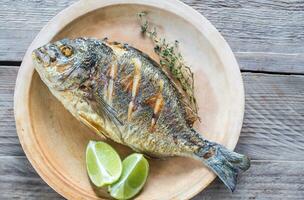 grigliato dorade regale pesce su il piatto foto